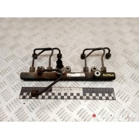 топливная рампа Peugeot 406 2002 5WS40039,9640387980,5WS40002,55PP0201