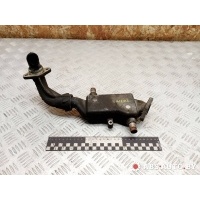 Охладитель отработанных газов Mercedes-Benz Viano W639 2010 A6461420079,6461420079
