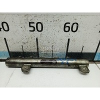 Рейка топливная (рампа) BOSCH Zafira B (2005 - 2012) 0445214095