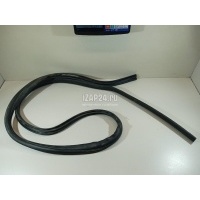 Уплотнитель (внутри) Ford Focus II (2008 - 2011) 1534918