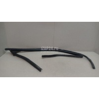 Уплотнитель стекла двери Ford Focus II (2008 - 2011) 1685043