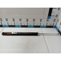 Амортизатор задний Japanparts Focus II (2008 - 2011) MM00232