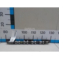 Распредвал впускной Renault Clio III (2005 - 2012) 8200235677
