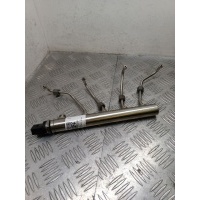топливная рампа BMW 3 серия F30/F31/GT F34 2014 7585411,13537585411