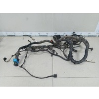Проводка двс Ford Ford Focus 2 (DB) 2008-2011 1619522