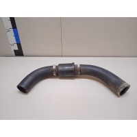 Патрубок интеркулера Ford Transit (2006 - 2013) 1440262