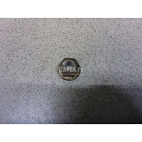 Гайка VAG Tiguan (2007 - 2011) N10286111