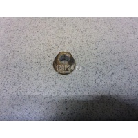 Гайка VAG Tiguan (2007 - 2011) N10286111