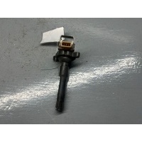 Катушка зажигания BMW 5 E39 2000 1748017,11860