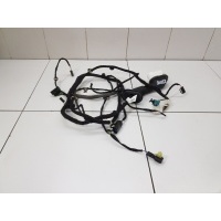 Электропроводка передней правой двери Exeed VX 2021- 806005891AA