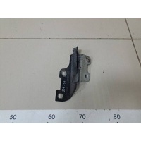 Петля капота правая Renault Renault Symbol (1) 2001-2008 7700842681