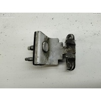Петля крышки (двери) багажника Volkswagen Passat B5+ (GP) 2003 3B9827301E