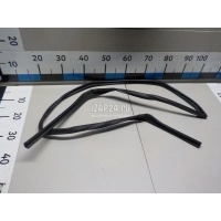 Уплотнитель стекла двери Toyota Land Cruiser (150)-Prado 2009 6815160072