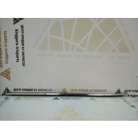 Уплотнитель стекла двери Geely Tugella FY11 Рестайлинг 2023 5079561300
