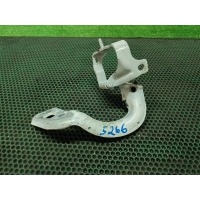 петля двери багажника Audi A4 [B8] Allroad 2009-2016 8K9827300