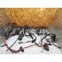 Проводка двигателя Renault Scenic 1998 7700287826,7700287873