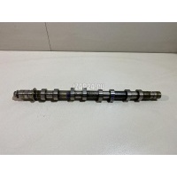 Распредвал выпускной Renault Duster 2012 130209419R
