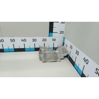 Экран тепловой Mercedes Benz W246 B-klasse (2012 - 2018) 2464660738
