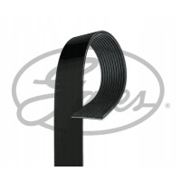 Gates 11PK1545HD Pasek klinowy wielorowkowy