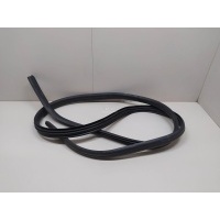 Уплотнитель двери Renault Sandero 2014 769249388R