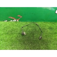 Датчик ABS Mercedes-Benz E W210 1999 A2105409108