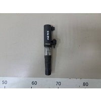 Катушка зажигания Renault Renault Symbol (1) 2001-2008 8200765882, 8200380267, 224333529R