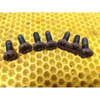 Болт маховика Renault Megane 1 8201284583, 7700709182