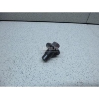 Пробка масляного поддона Ford EcoSport 2013 1013938