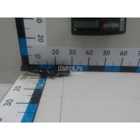 Кронштейн ручки Ford EcoSport 2013 1908243