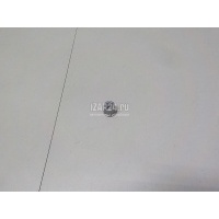 Гайка VAG A5/S5 (F5) 2017 WHT007828