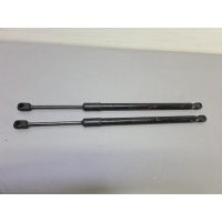 Амортизатор капота Exeed RX 2023 554000485AA