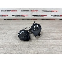 Звуковой сигнал FORD Focus 2 2006 1806512, 3M5T13A803CB, 1806512, 1347121, 1320259, 1320258, 1234159