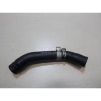 Патрубок Hyundai-Kia Carnival 2020 256402R000
