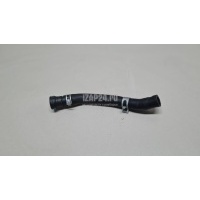 Патрубок Hyundai-Kia Carnival 2020 256122R500