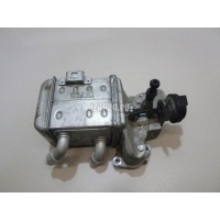 Радиатор системы EGR Hyundai-Kia Carnival 2020 284162R100
