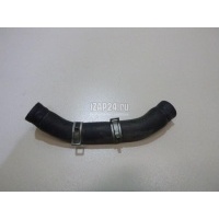 Патрубок Hyundai-Kia Carnival 2020 256402R000