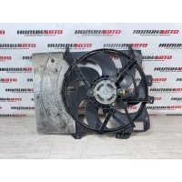 Вентилятор охлаждения PEUGEOT 207 2008 1253H0, 1253H0, 1253P9, 9653825880, 1610781580