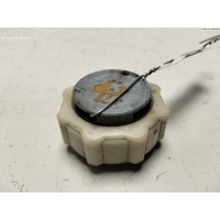 Пробка расширительного бачка Renault Laguna I (1993-2000) 1994 7700805031