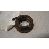 Гайка передней ступицы Toyota RAV 4 (1994 - 2000) 9017822001