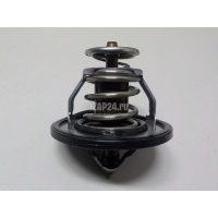 Термостат Hyundai-Kia XC90 (2002 - 2015) 2550035540