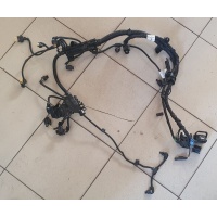 Проводка двигателя BMW 4 F32/F33/GT F36 2018 8682893,12518682893