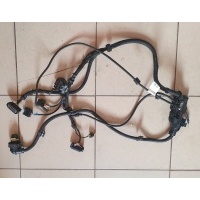 Проводка двигателя BMW 4 F32/F33/GT F36 2018 586509,8618890,8636065,8636064