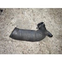 Патрубок (трубопровод, шланг) Volkswagen Passat 2002 8d0129615k
