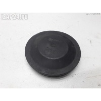 Крышка (заглушка) задняя фары левой Volkswagen Passat B5 1999 153874