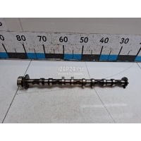 Распредвал впускной VAG A3 [8PA] Sportback (2004 - 2013) 06D109101AL