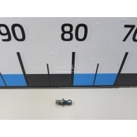 Крепеж Renault Kangoo (2003 - 2008) 8200719623