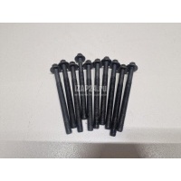 Болты головки блока к-кт Nissan Megane II (2003 - 2009) 1105900QAA