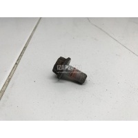Болт Renault Megane II (2003 - 2009) 7703002714