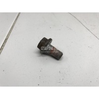 Болт Renault Megane II (2003 - 2009) 7703002714