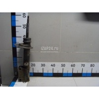 Амортизатор передний левый BMW X5 E53 (2000 - 2007) 31316764599